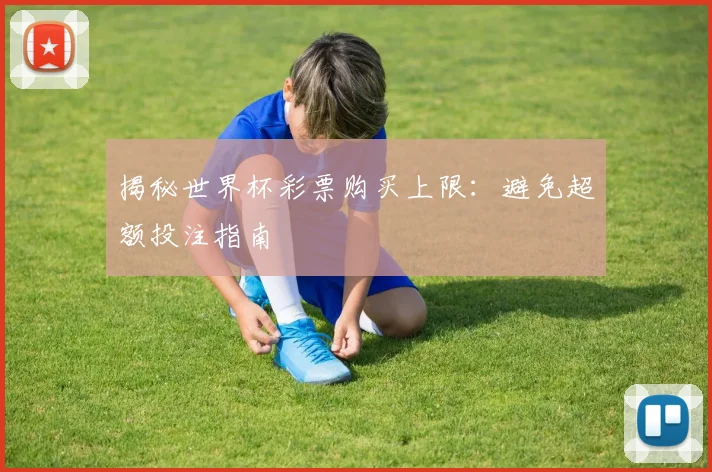 揭秘世界杯彩票购买上限：避免超额投注指南