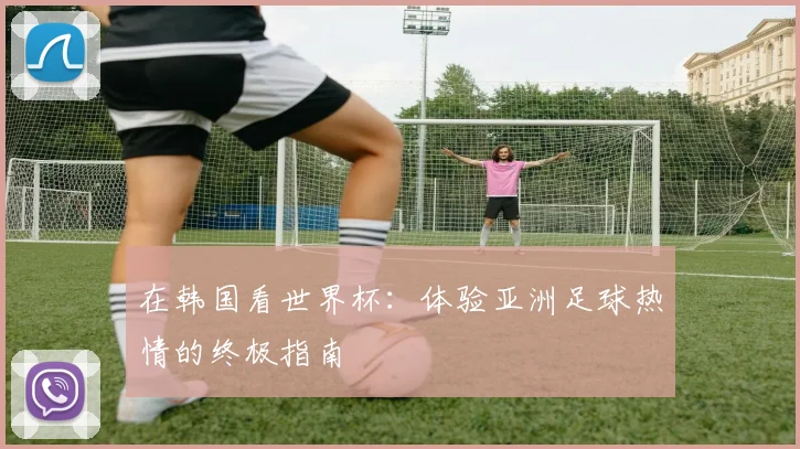 在韩国看世界杯：体验亚洲足球热情的终极指南